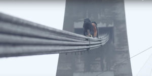 mustang wanted crazy