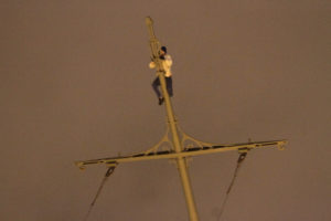 mustang wanted in Peter